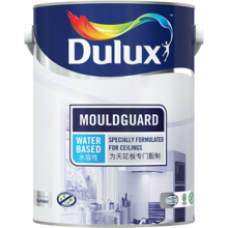 ICI Dulux Mouldguard